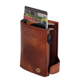 Furbo Van Gogh leather card holder with banknote and coin pocket